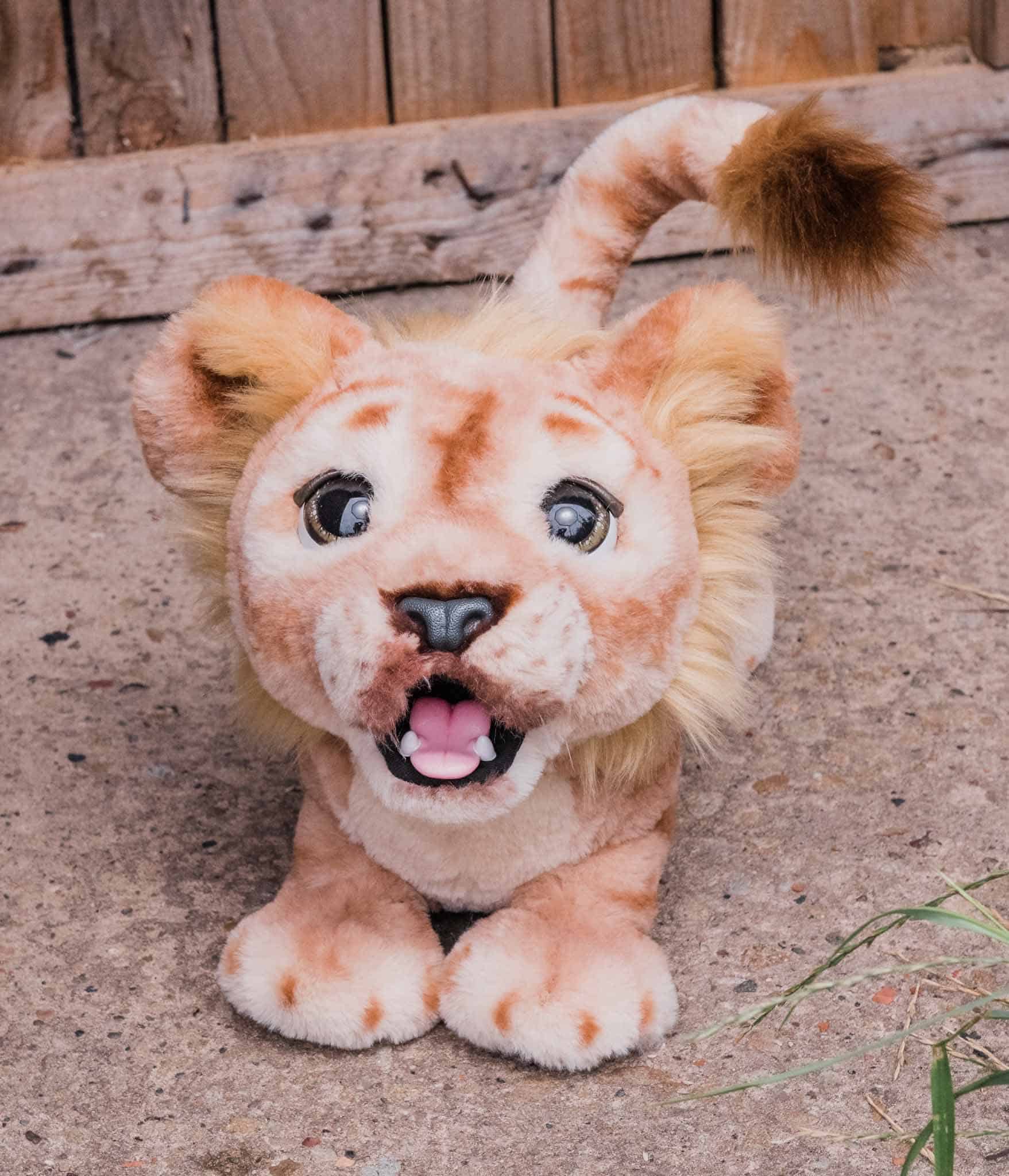 Mighty Roar Simba Furreal Toy Review The Inspiration Edit